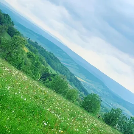 Гостевой дом Agroturystyka Goralska Willa